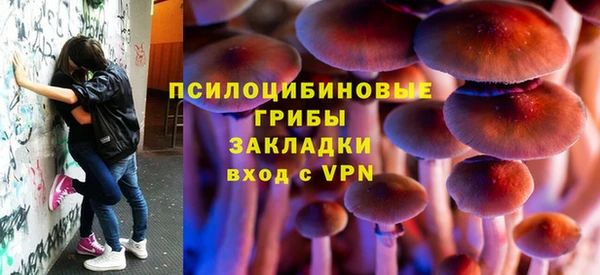 прущая мука Арсеньев