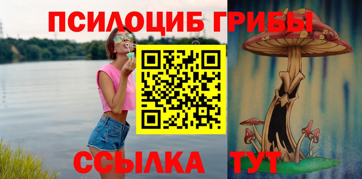 где купить   Галлюциногенные грибы MAGIC MUSHROOMS  Вход с VPN  Биробиджан 