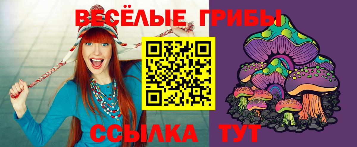 Галлюциногенные грибы Psilocybine cubensis Биробиджан