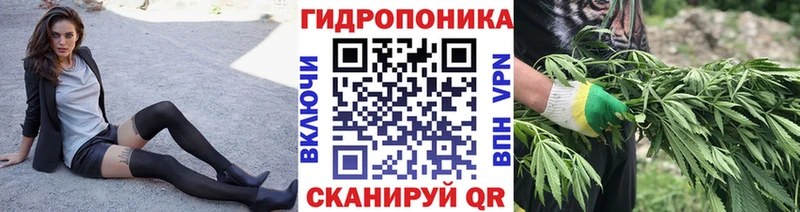Шишки марихуана семена Биробиджан